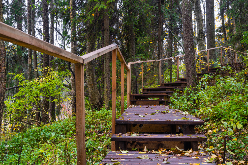 Wooden bridge for hiking in the autumn forest. Boardwalk in the forest.