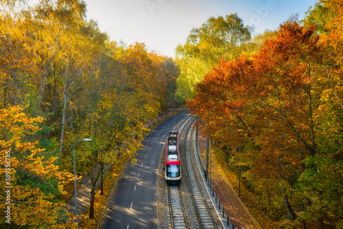 A tram in the autumn scenery of a forest in Gdańsk. Poland