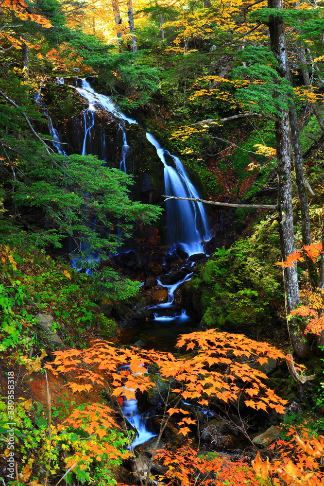 Naklejka premium 紅葉の安比高原