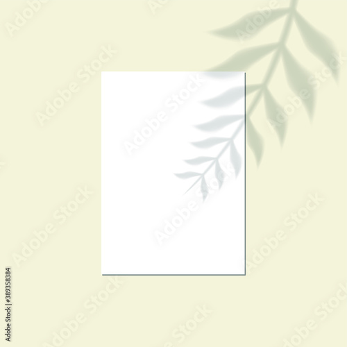 Vector shadow overlay effect. Transparent soft light and shadows from branches, plant and leaves. Mockup of transparent leaf shadow and natural lightning.