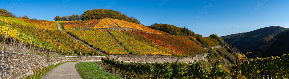 Hiking in the Ahr valley on a sunny autumn day on the red wine trail Hiking in the Ahr valley on a sunny autumn day on the red wine trail