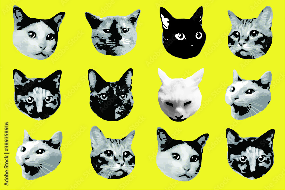 色々な種類の猫の顔のセット