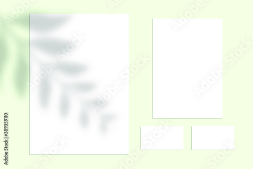 Vector shadow overlay effect. Transparent soft light and shadows from branches, plant and leaves. Mockup of transparent leaf shadow and natural lightning.
