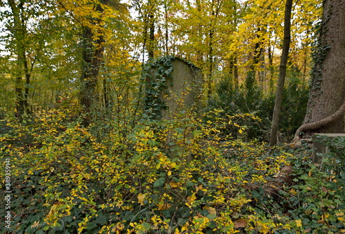 Grab auf dem Wilmersdorfer Waldfriedhof in Stahnsdorf photo