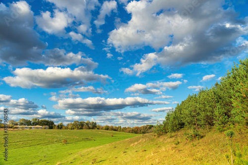 Landscape view at the edge of pine forest with beautiful sky and meadows
