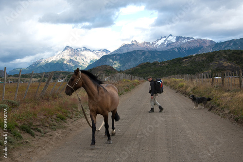 homme en voyage marchant avec un sac à dos sur un chemin au Chili avec un cheval et un chien et des montagnes au loin 