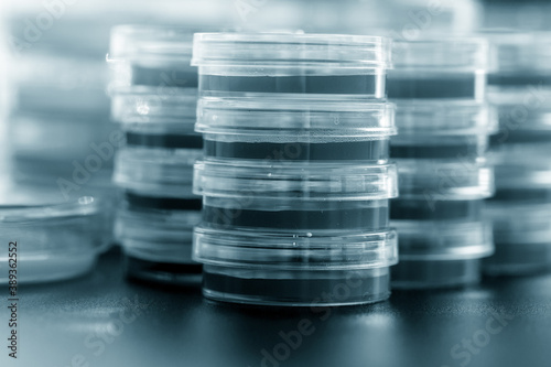 Petri dishes in the microbiology laboratory of a medical clinic
