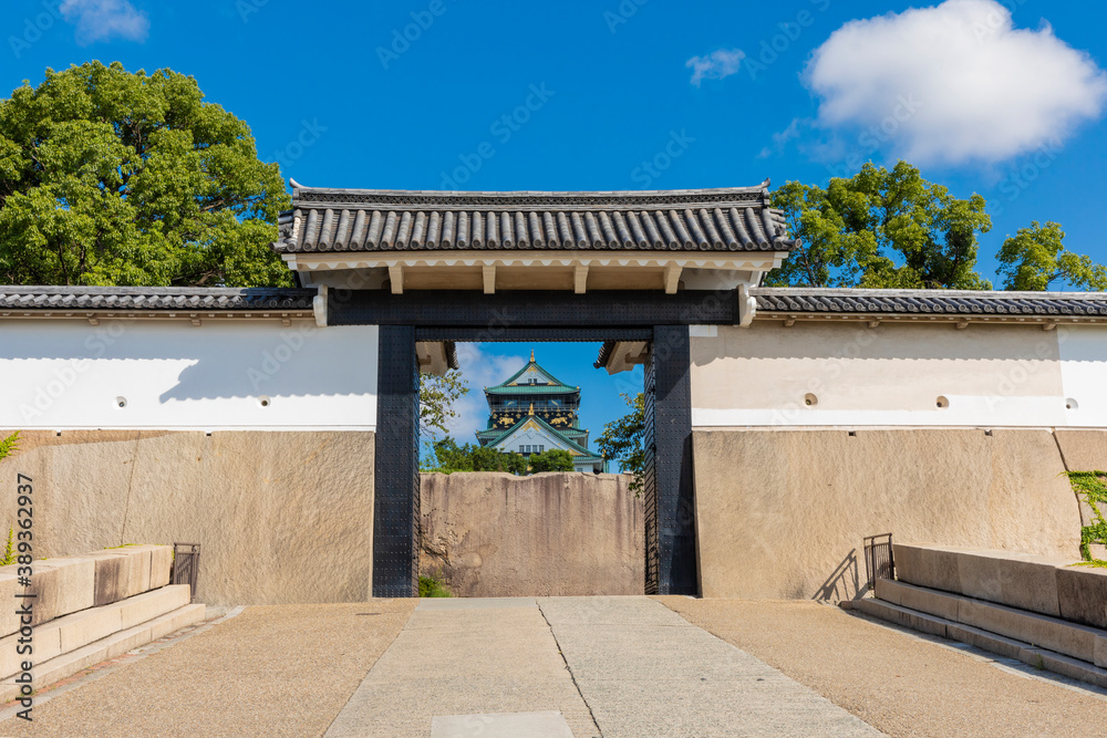 Fototapeta premium 大阪城 桜門