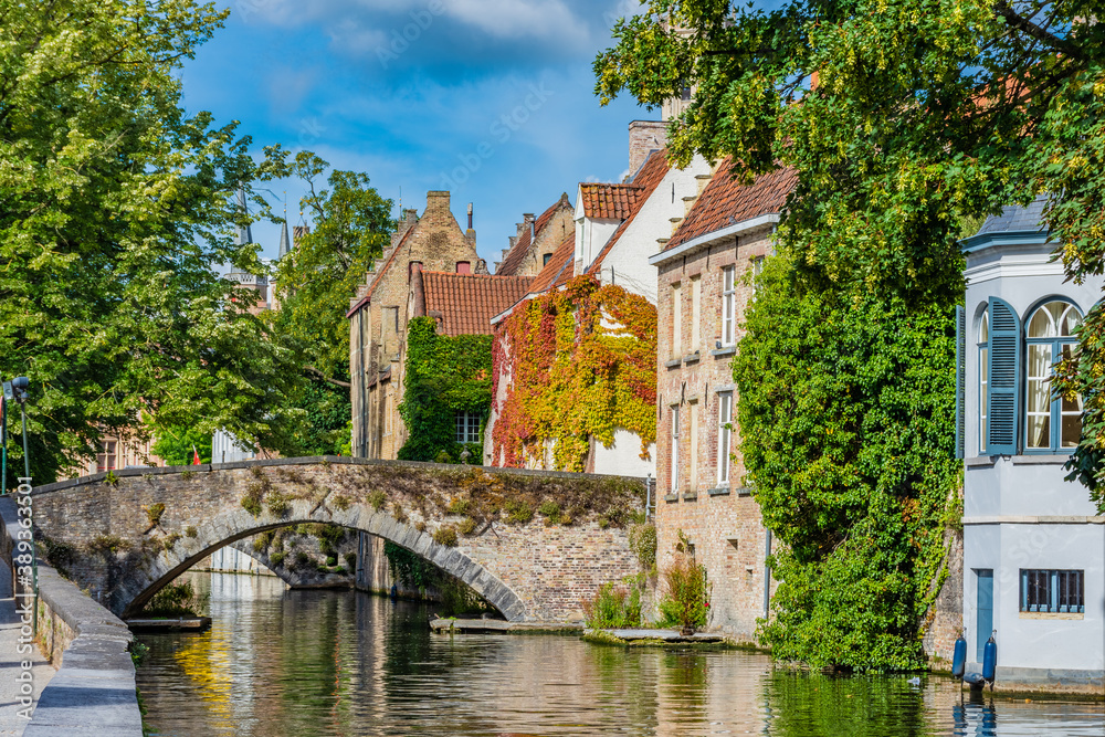 Fototapeta premium The city of Bruges in Belgium