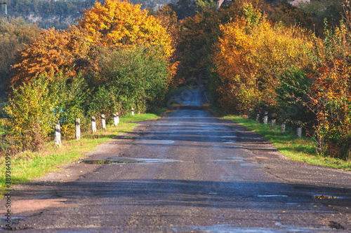 autumn road leading to the wild forest