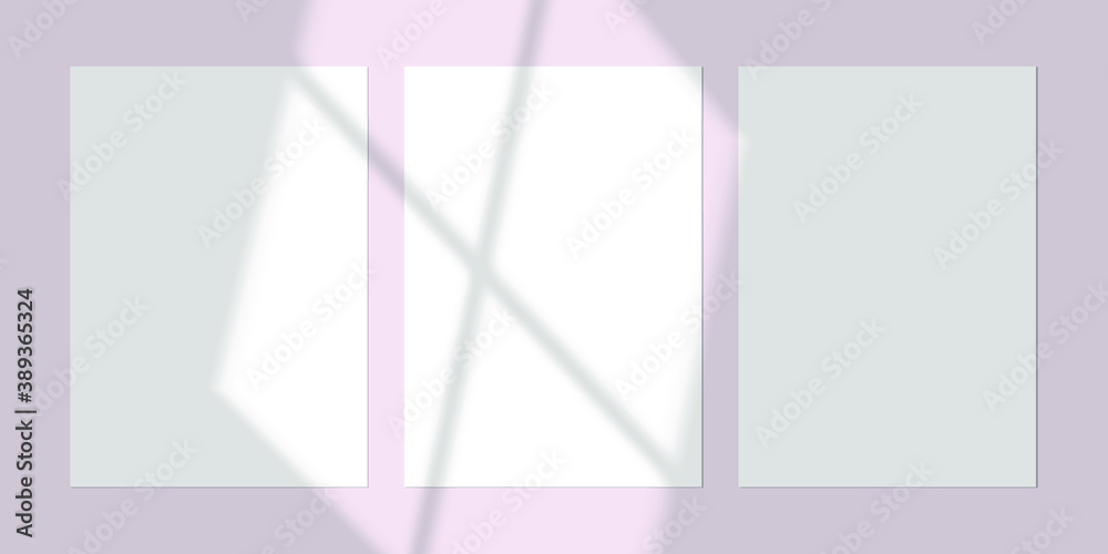 Fototapeta premium Vector shadow overlay effect. Transparent soft light and shadows from window. Mockup of transparent window shadow and natural lightning. 10 eps mesh.