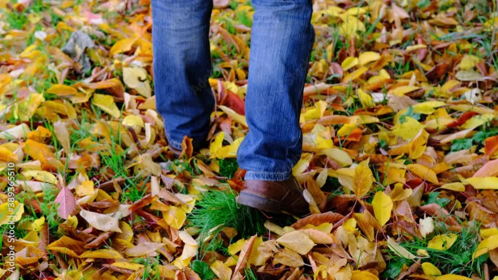 man walks in the autumn park against the background of trees, the concept of a healthy lifestyle, good mood, happiness at any age man walks in the autumn park against the background of trees, the concept of a healthy lifestyle, good mood, happiness at any age