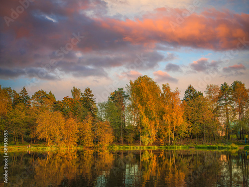 Autumn trees reflected in water in Moscow Region, Russia