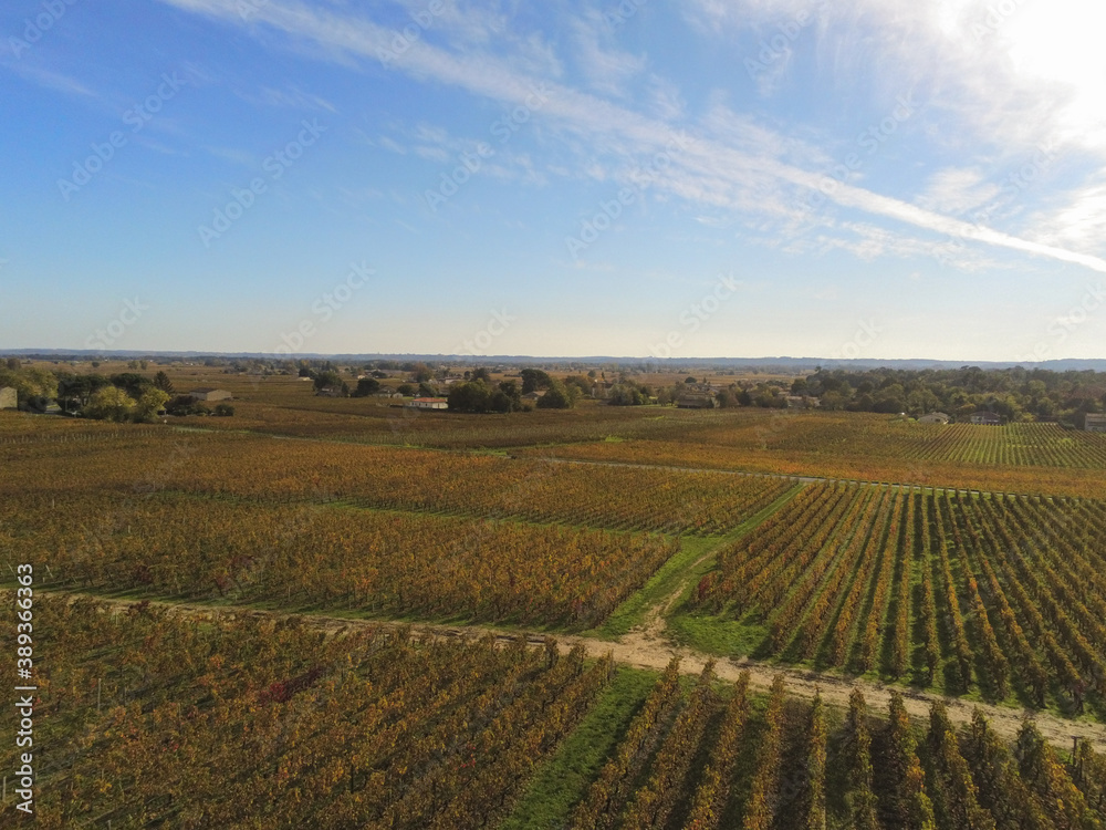 Vignes à Saint Emilion en Gironde, vue aérienne