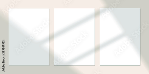 Vector shadow overlay effect. Transparent soft light and shadows from window.  Mockup of transparent window shadow and natural lightning. 10 eps mesh.