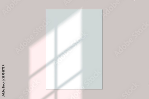 Vector shadow overlay effect. Transparent soft light and shadows from window.  Mockup of transparent window shadow and natural lightning. 10 eps mesh.