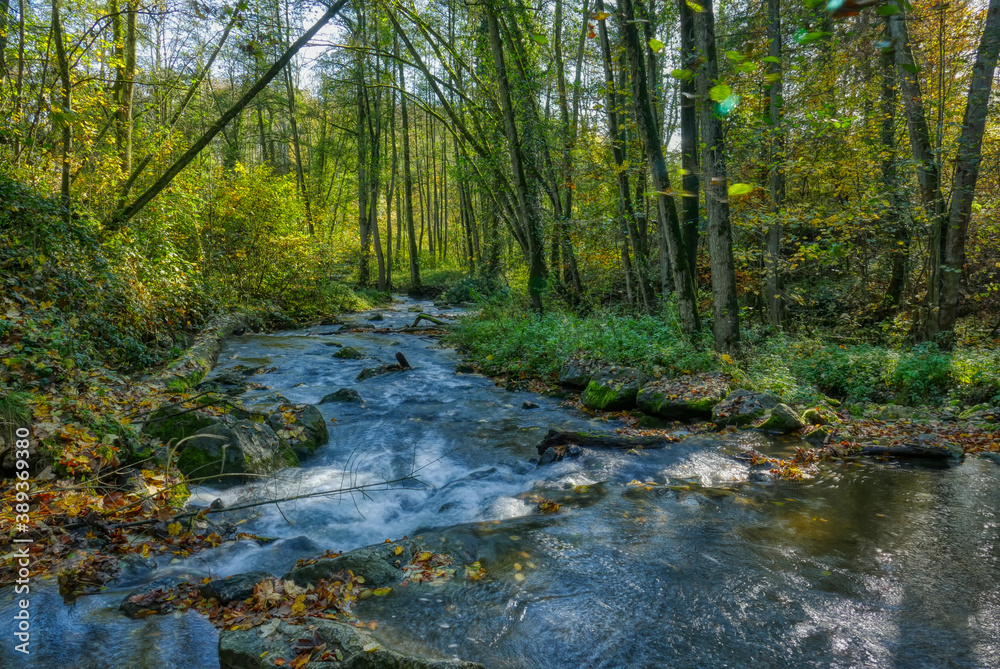 Düssel im Wald bei Haan Gruiten