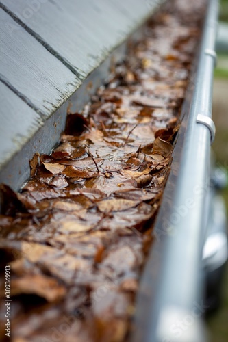 A portrait of a clogged gutter full of autumn leaves, dirt and water which cannot get away hanging next to a slate roof. A typical chore after autumn is to clean the roof gutter.