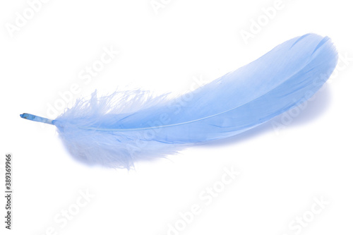 Blue fluffy feather isolated on the white