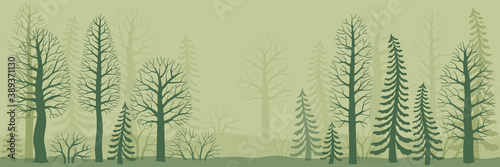 Mysterious forest in the fog. Vector silhouette trees and spruces and bushes isolated on marsh color background. Branches without leaves. Forest elements for design