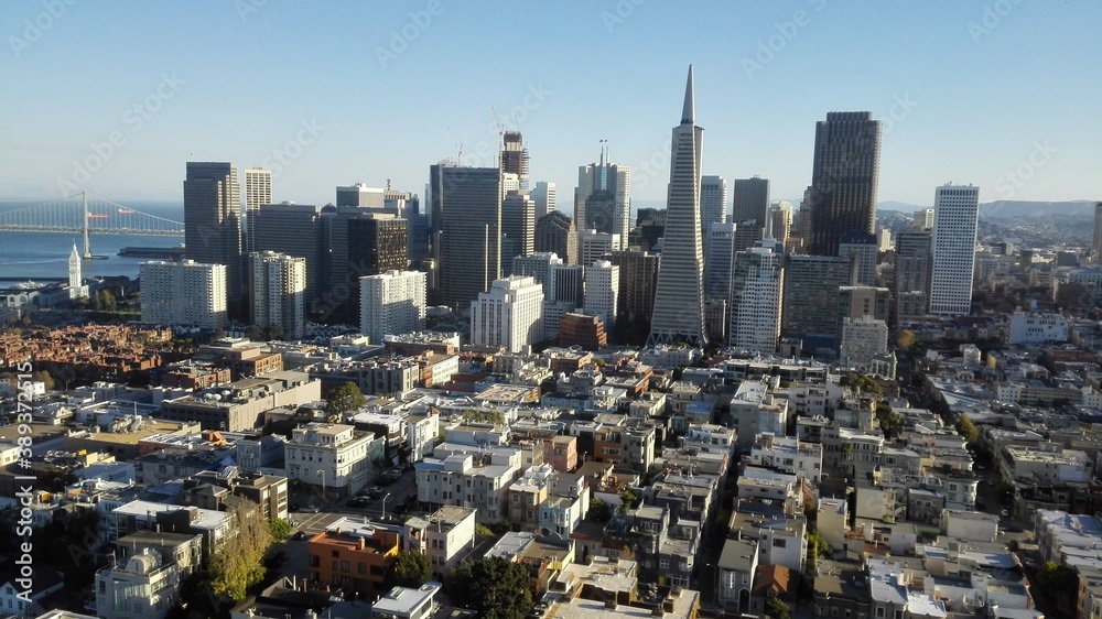 Fototapeta premium San Francisco Skyline