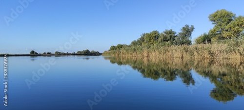 lake and forest