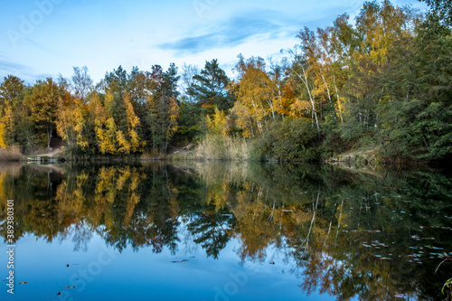 A beautiful little lake called Schnepfensee in Germany at a sunny day in Autumn with a colorful forest reflecting in the water.