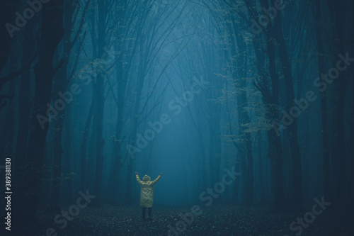 Man lost in a spooky forest. Forest in fog with mist. Fairy spooky looking woods in a misty day with a man lost in it. Cold foggy morning in horror forest