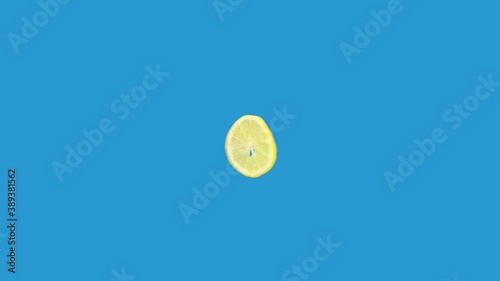 lemon slice spinning around in loop motion isolated on blue background