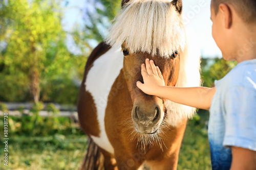 Принти на полотні Little boy stroking cute pony outdoors on sunny day, closeup