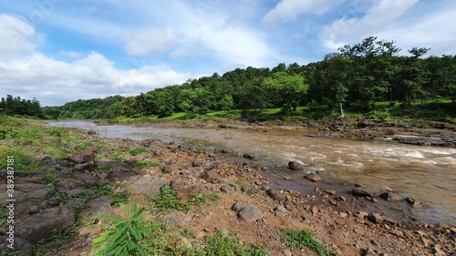 river in the forest