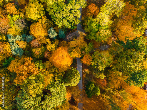 Colorful Autumn Foliage and Footpath Patterns in City Park. Strzelecki Park in Tarnow, Poland. Top Down Drone View