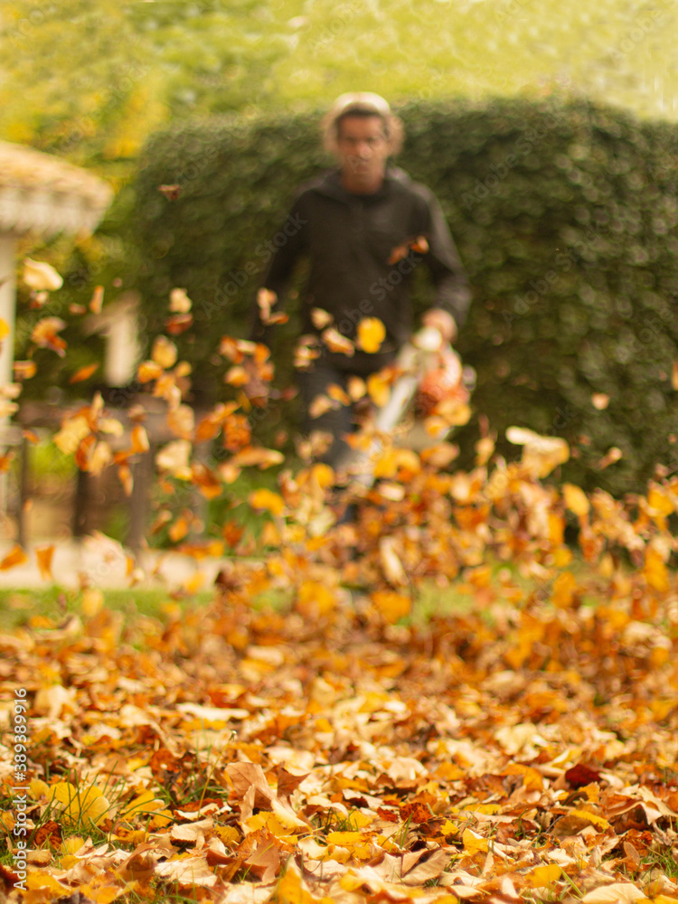 Un homme passe le soufflant dans son jardin pour rassembler les feuilles d'automne.