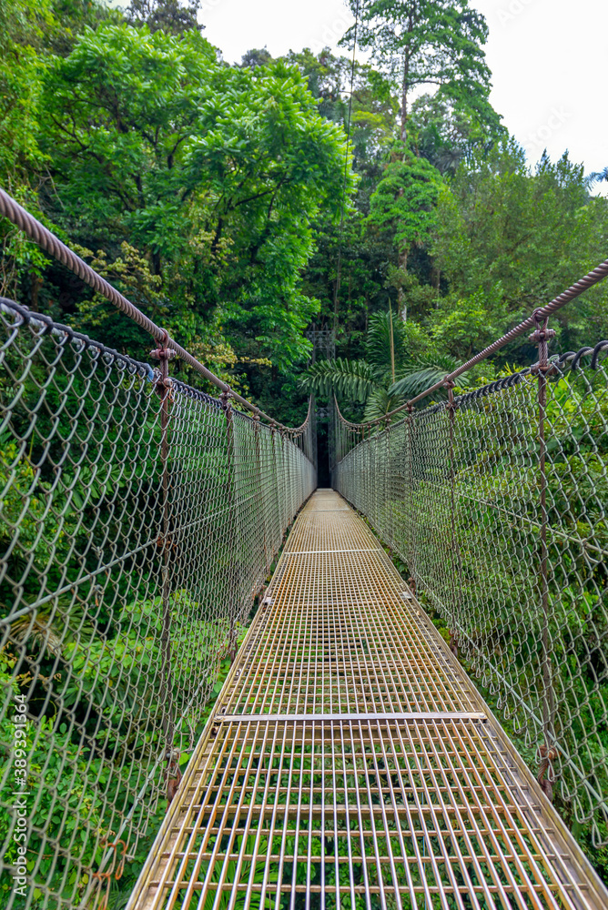 Obraz premium Arenal Hanging Bridges, hiking in green tropical jungle, Costa Rica, Central America.