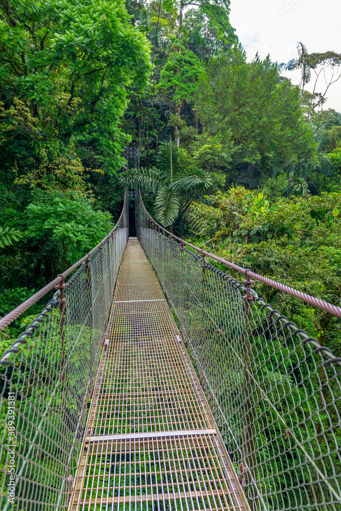 Fototapeta premium Arenal Hanging Bridges, hiking in green tropical jungle, Costa Rica, Central America.