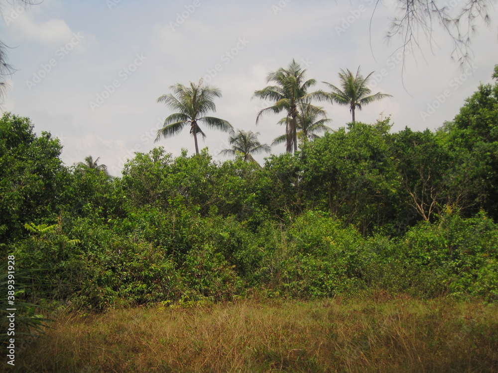 The stunning beaches, islands and turquoise ocean outside of Sihanoukville (Kampong Som) in Cambodia, Asia The stunning beaches, islands and turquoise ocean outside of Sihanoukville (Kampong Som) in Cambodia, Asia