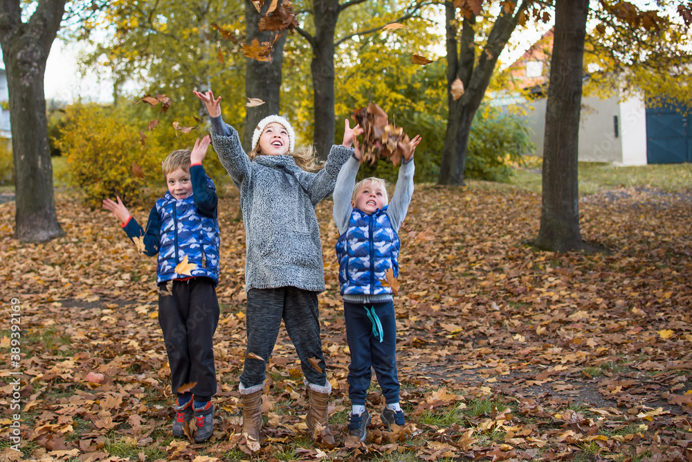 Fototapeta premium Three children are playing with brown fallen leaves. Siblings are throwing maple leaves up in autumn nature. Autumn and fall concept.