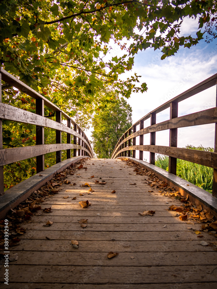 Autumn wooden bridge 