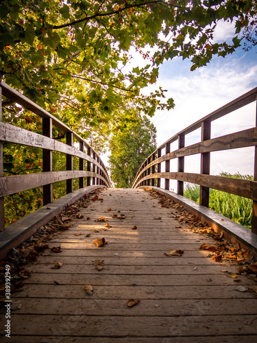 Autumn wooden bridge 