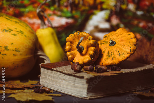 two small pumpkins lie on a book photo