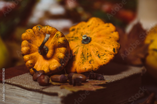 two small pumpkins lie on a book photo