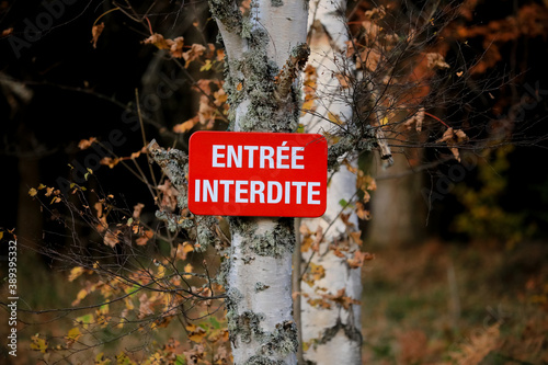 Valokuvatapetti Entrée Interdite - Panneau d'interdiction d'entrée dans une forêt
