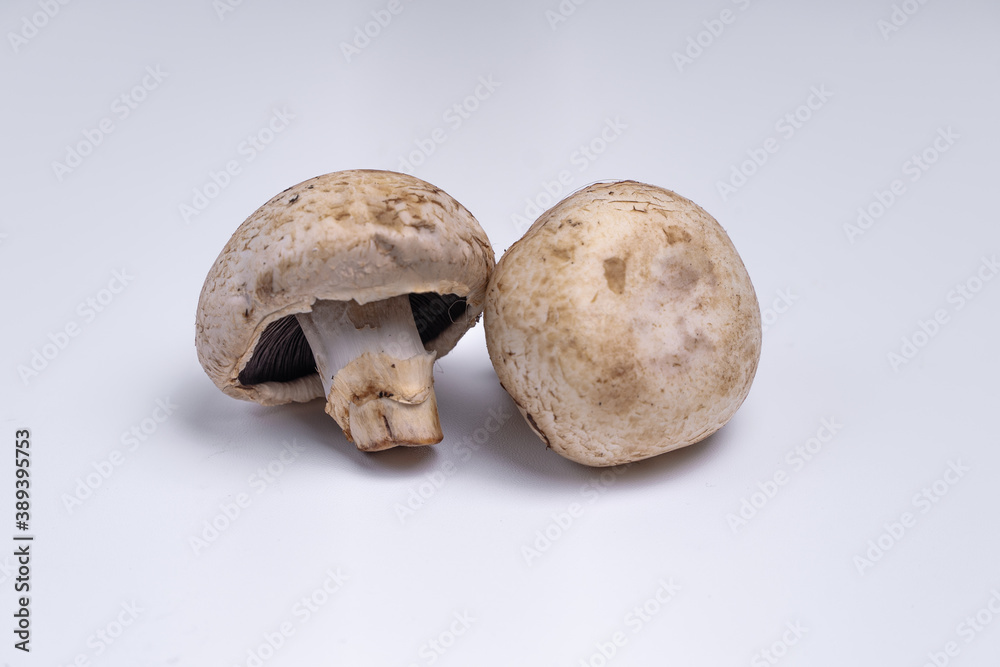 Mushroom Button isolated in white background Mushroom Button isolated in white background