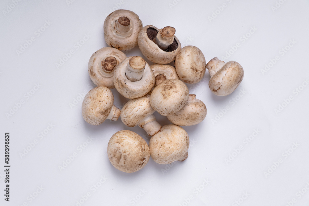 Mushroom Button isolated in white background Mushroom Button isolated in white background