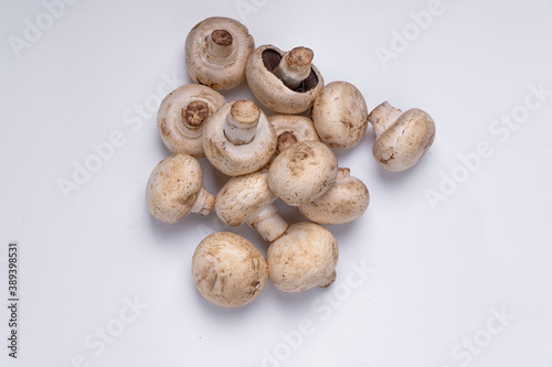 Mushroom Button isolated in white background