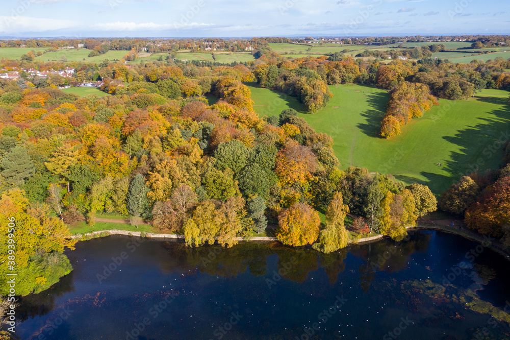 A beautiful aerial photo in the autumn fall at the park in Leeds West Yorkshire known as Roundhay Park showing the brown and green colours on the trees