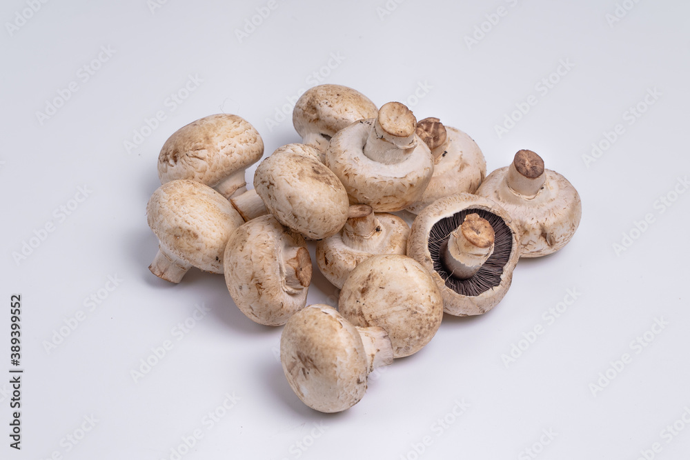 Mushroom Button isolated in white background Mushroom Button isolated in white background
