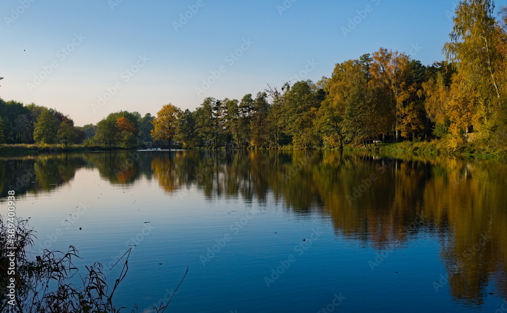Autumn trees reflected in lake. Stawy Sefańskiego Łódź Poland