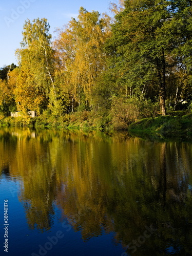 Autumn trees reflected in water. Stawy Sefańskiego Łódź Poland