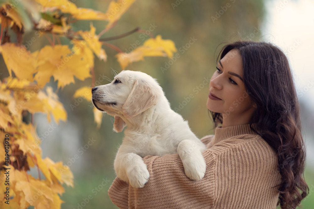 Beautiful brunette woman with her golden retriever puppy, autumn beautiful colors, emotions Beautiful brunette woman with her golden retriever puppy, autumn beautiful colors, emotions